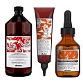Davines Naturaltech Energizing - Серия против выпадения волос