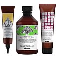 Davines Naturaltech - Терапевтический уход